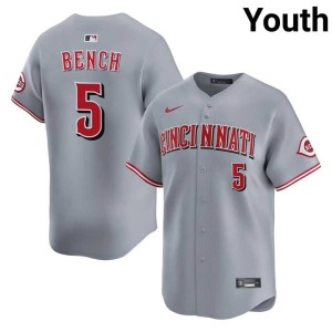 Gray #5 MLB Youth The Red Stockings Johnny Bench Jerseys 917967-323